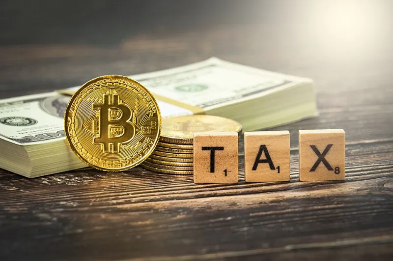 Crypto Taxes Uncovered: A DeFi Investor's Survival Guide for Tax Season